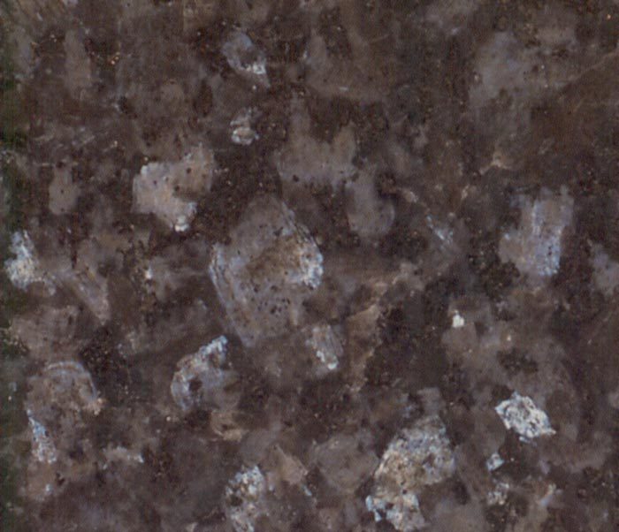 LABRADOR